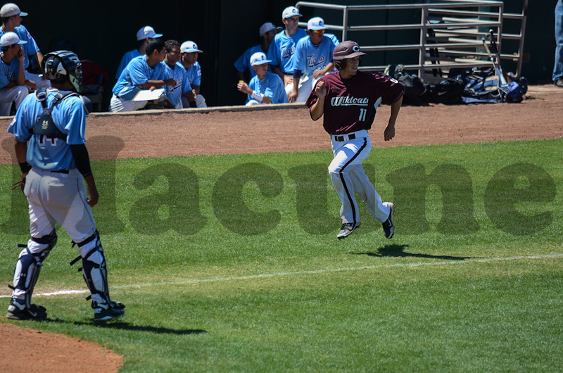 BB Calallen v Carroll-24