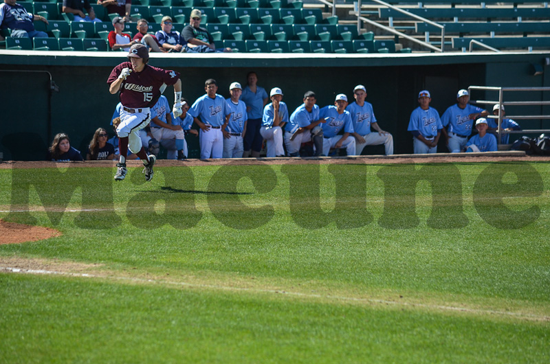 BB Calallen v Carroll-427