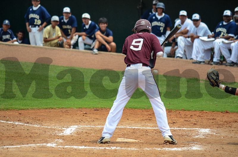 Calallen v Hidalgo-193