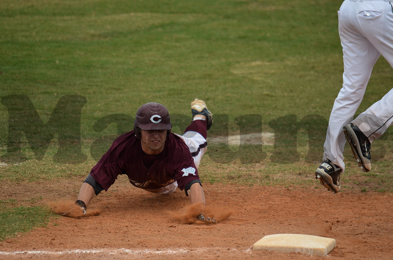 Calallen v Hidalgo-394