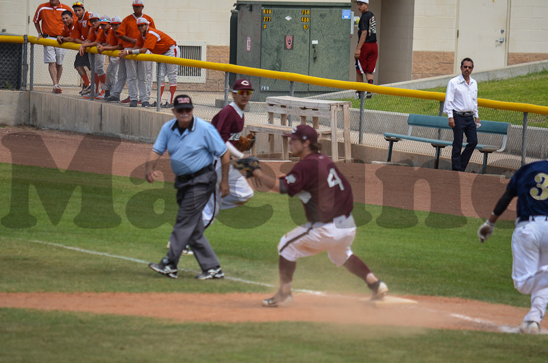 Calallen v Hidalgo-419