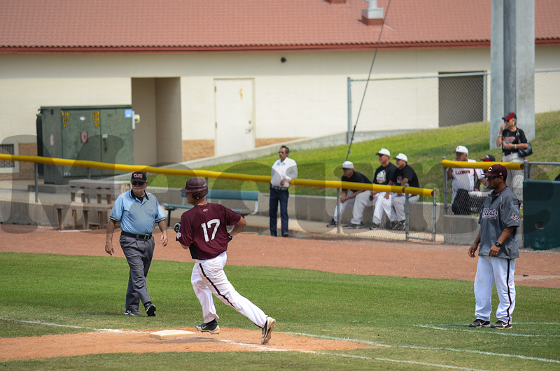 Calallen v Hidalgo-432