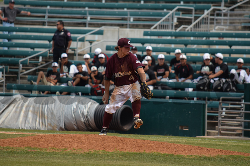 Calallen v Hidalgo-455