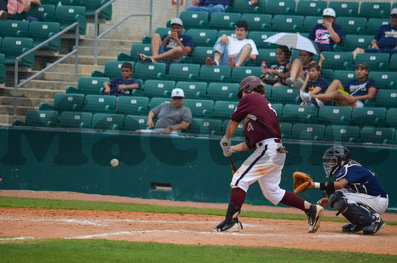 Calallen v Hidalgo-494