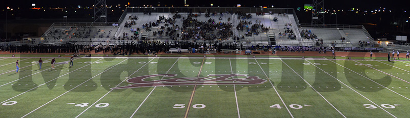 Wildcat_Stadium_Pan