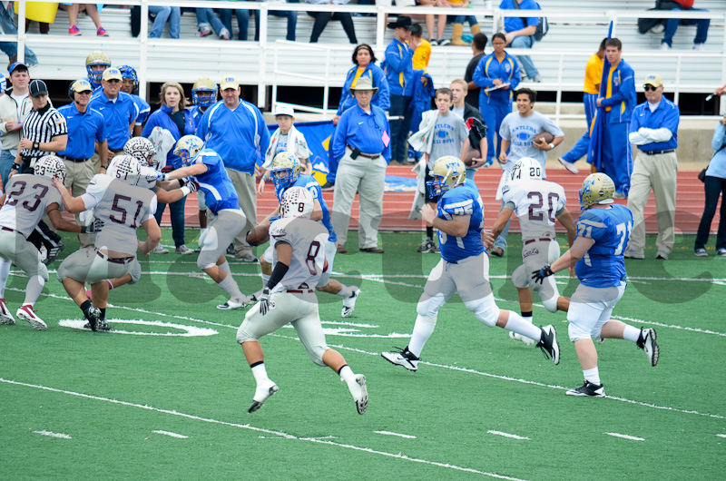 Tivy Defense-201