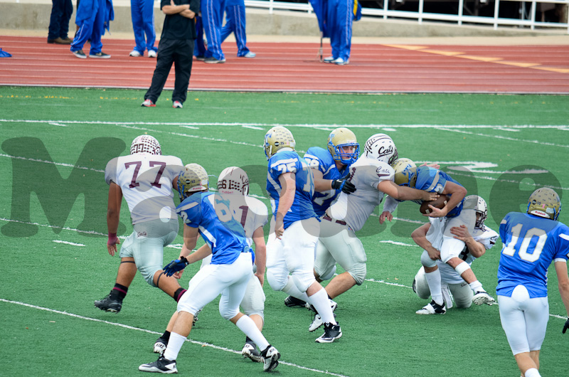 Tivy Defense-213