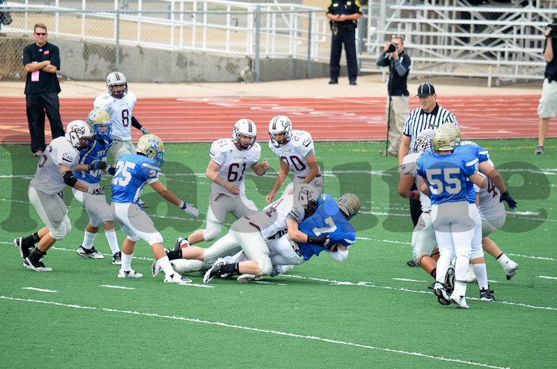 Tivy Defense-78