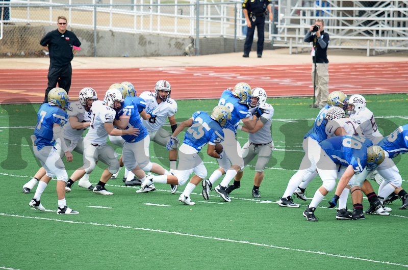 Tivy Defense-80